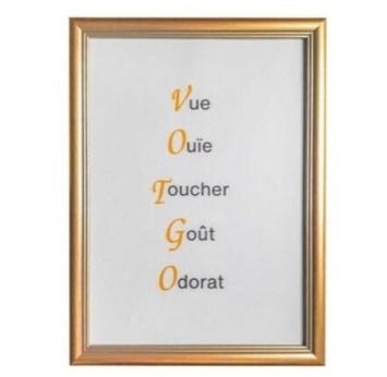 Cartouche "Les 5 sens"(Compagnon) - REAA/Memphis Misraïm Nos Colonnes - Boutique Maçonnique 